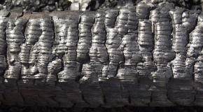 Wood-Burned-Close-up (13)