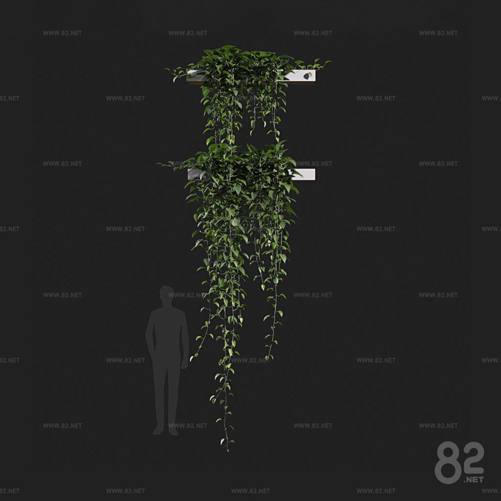 Modern Green Plant Hanging Basket Potted Plant Free