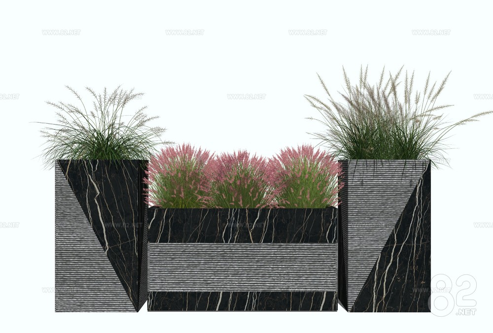 modern flowers and plants reed