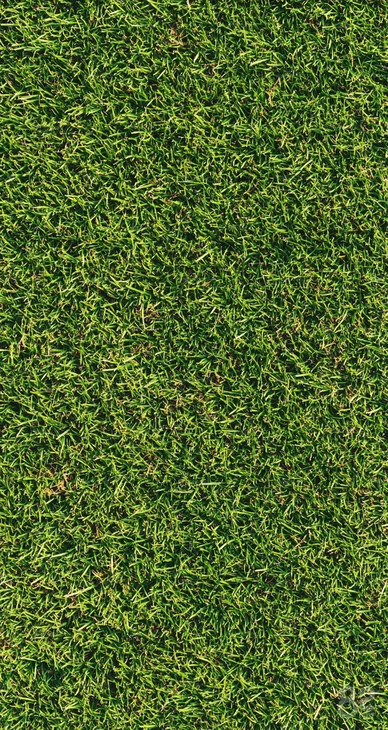 Turff Texture Turf 3D | Texture Maps (.jpg .png) - 82Models