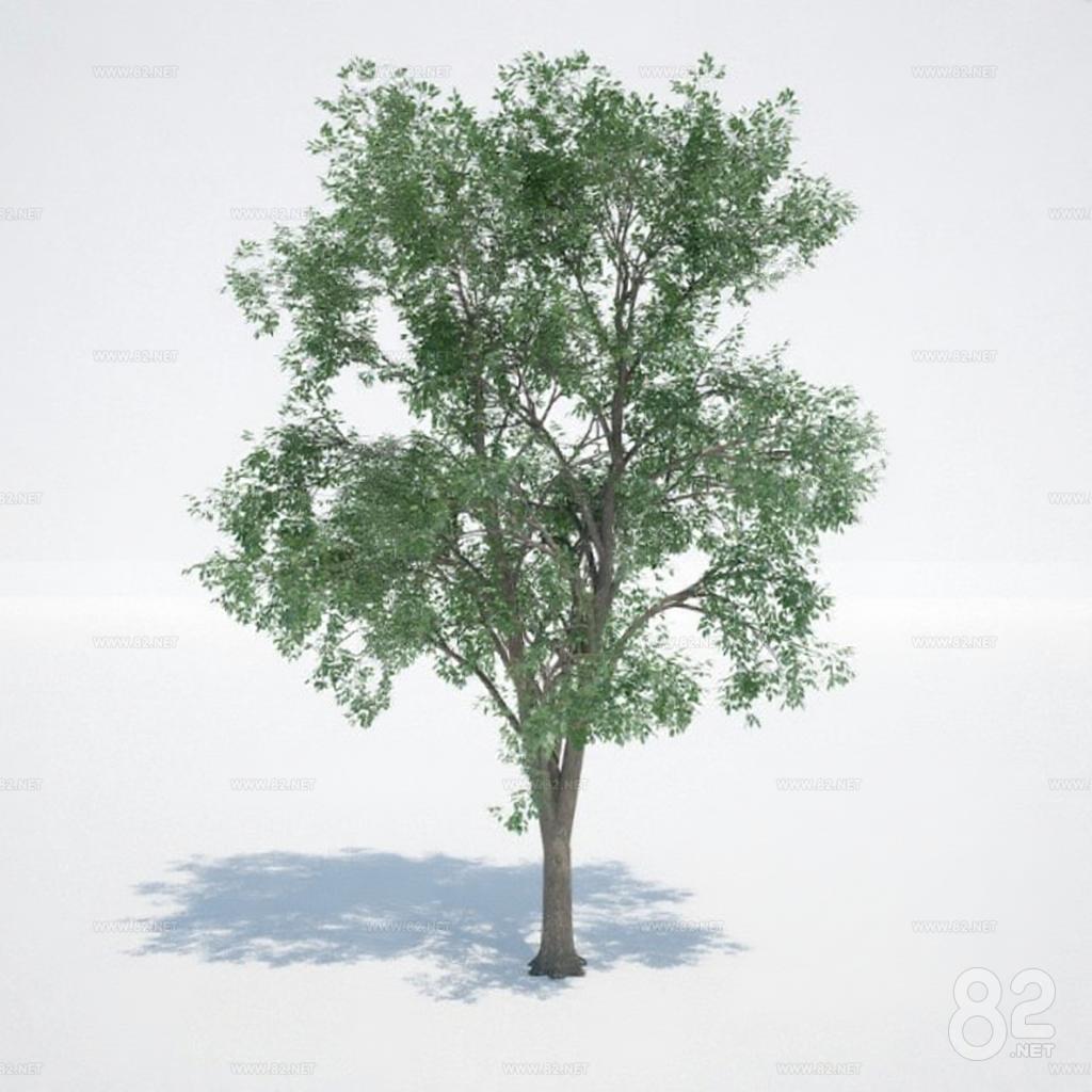 Tree Material 3d 3D tree model game plant material film CG rendering resources download ...